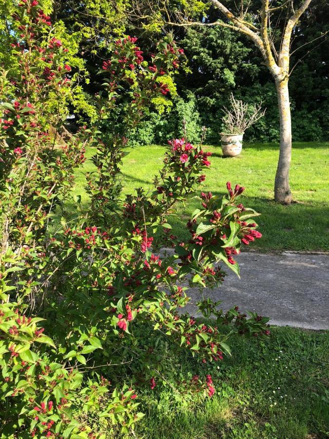 Domaine En Castanet Bed and Breakfast Caraman Buitenkant foto